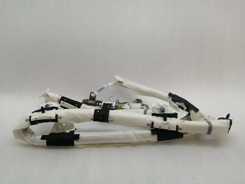 TESLA MODEL 3 LONG RANGE Module 1077827-CN-E Module LEFT LEFT ROOF