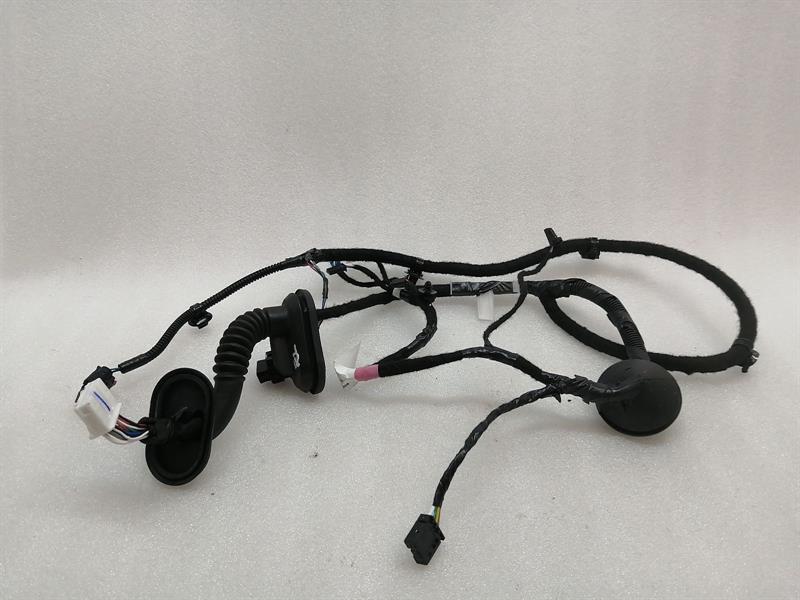 Tesla Model 3 Wiring Loom Tesla Model 3 Long Range RLH Door Wiring 206796...