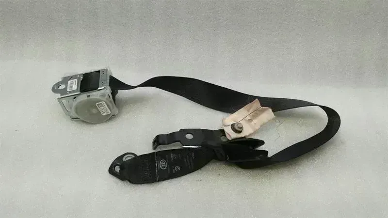 Tesla Model S Tesla Model S 75 rear seat belt 1018789-05-C seat belt belt rear right Body type: Hatchback
Fuel: ELECTRIC