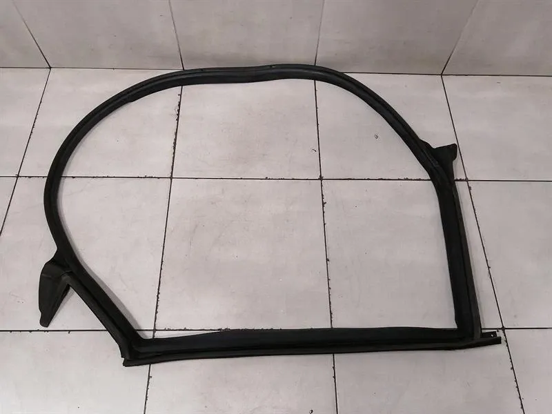 Tesla Model 3 RLH Door Seal 1090511-00-L Door Seals Rear Left