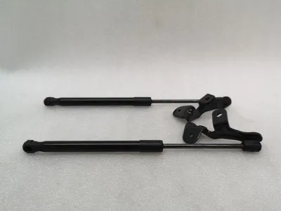 Tesla Model 3 Long Range Motorhaubenstrebensatz 1089586-00-C Haubenscharniersatz