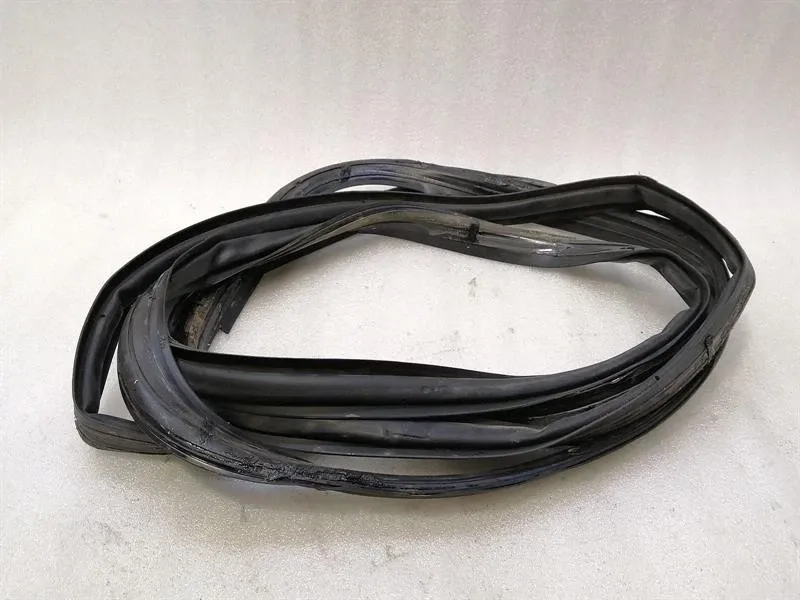 Tesla Model X 75D RLH Door Seal 1032469-75-C Door Seals Rear Left
