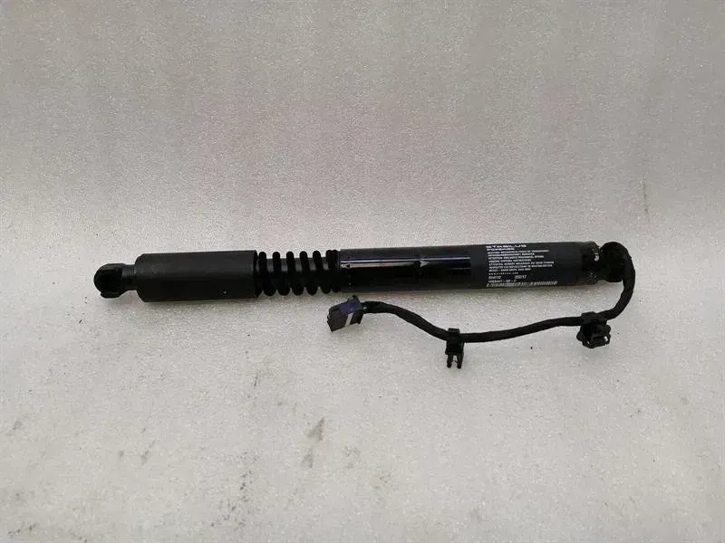 Tesla Model X Left Rear Strut Tesla Model X 75D Falcon Door Strut 1063441-00-...