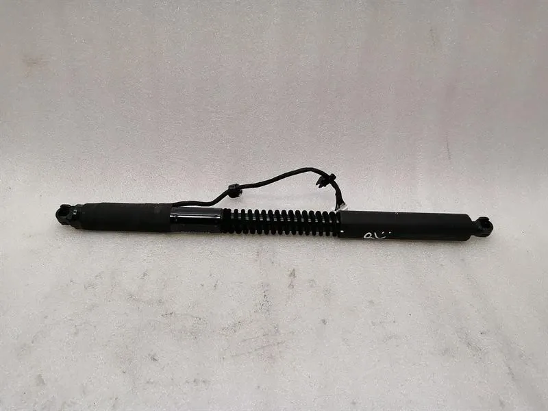 Tesla Model X Rear Falcon Door Strut 1063440-01-D Rear Door Lift Gas Strut