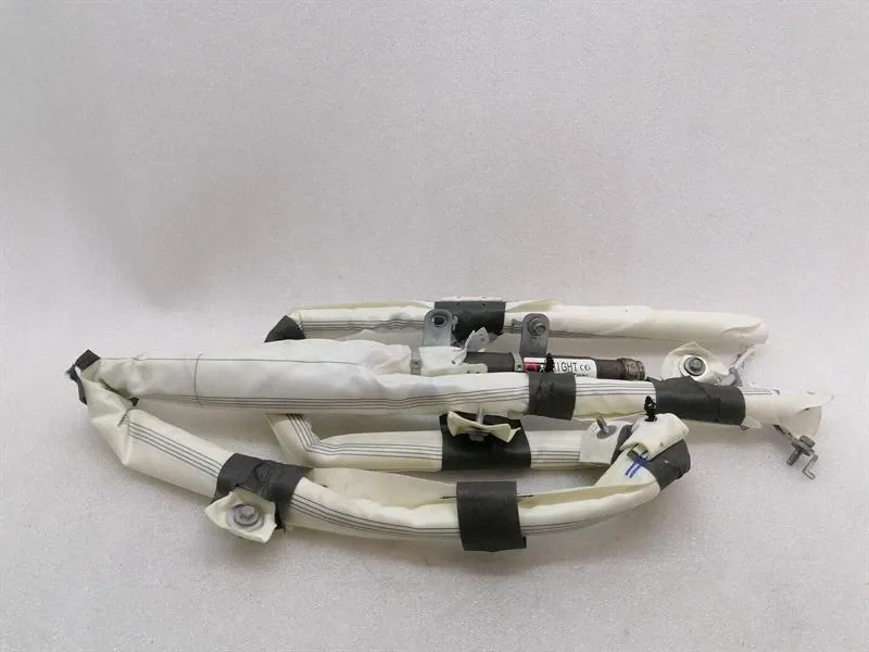 Tesla Model 3 Long Range Roof Right Module 1077828-00-E Module Right