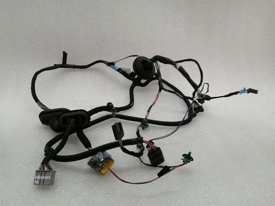 Tesla Model S 100D Türkabelbaum 1004425-00-R Kabelbaum Tür