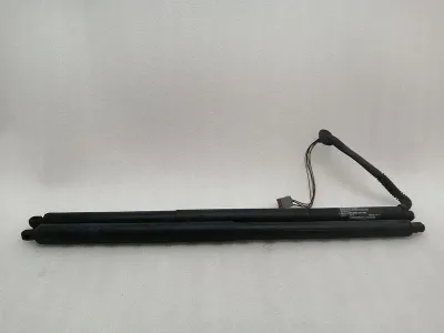Tesla Model S 100D Boot Deckel Strut SET 6006610-00-C Gas Strut Heckklappe SET