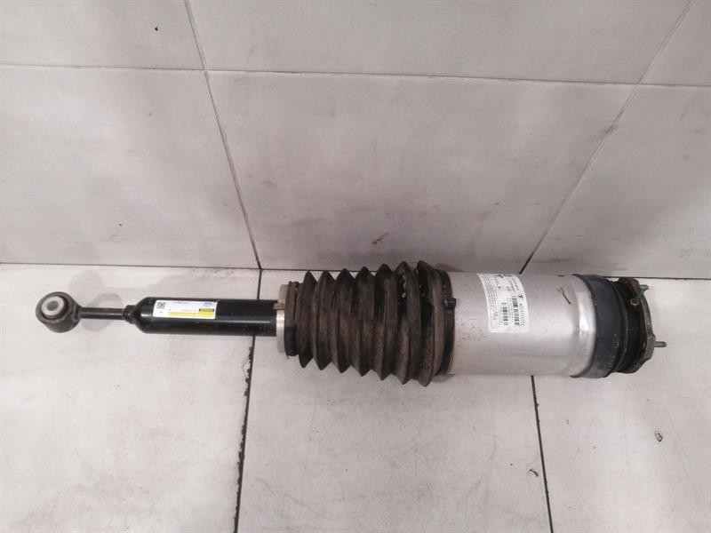 Tesla Model X 2015-... Tesla Model X P100D Shock Absorber RRH 1027067-00-D Shock Absorber Rear Right