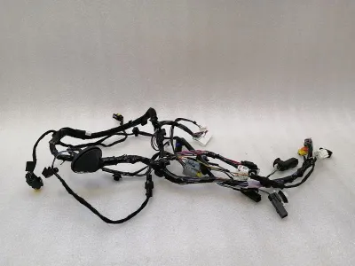 Tesla Model X P100D RRH-Türverkabelung 1032442-70-G Kabelbaum der hinteren rechten Tür
