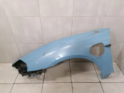 Porsche Taycan 9J Linker Flügel 9J1821101AY W POWER DOOR Kotflügel vorne links