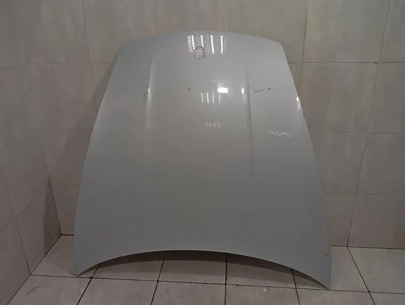 Porsche Taycan 9J Bonnet 9J1823031AYGRV Bonnet