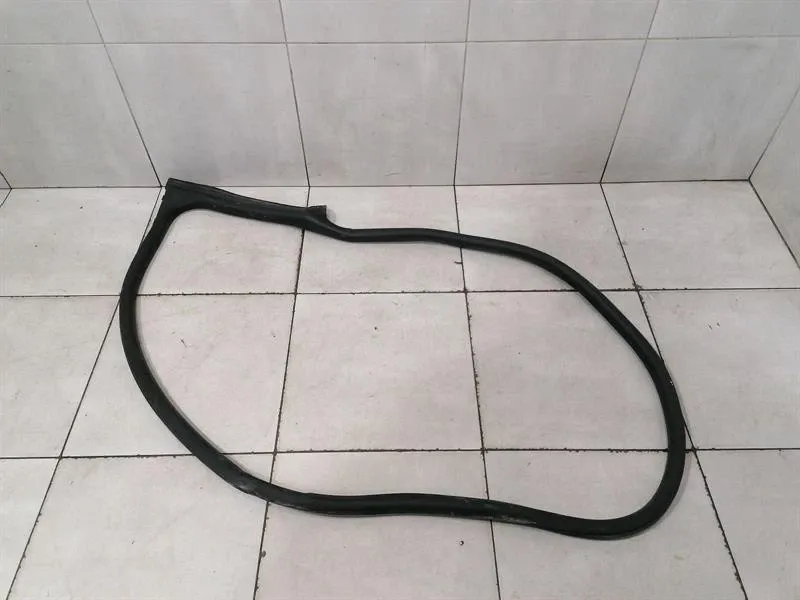 Porsche Taycan 9J Door Seal 9J1831721AL LEFT FRONT Door Seals