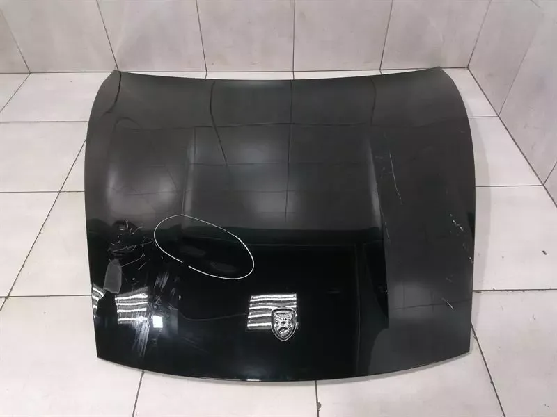 Porsche Taycan 9J Bonnet 9J1823031AYGRV Bonnet