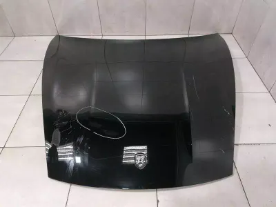 Porsche Taycan 9J Motorhaube 9J1823031AYGRV Motorhaube
