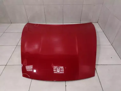 Porsche Taycan 9J Motorhaube 9J1823031AYGRV Motorhaube