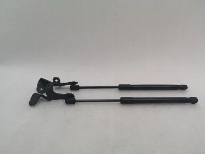 Zestaw zawiasów maski Tesla Model 3 Standard Range 1089587-00-C Zestaw zawiasów maski