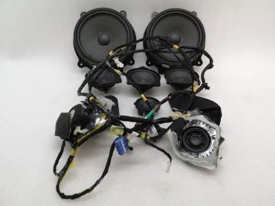 Tesla Model 3 Standard Range Lautsprecherset 1079742-00A Lautsprecherset