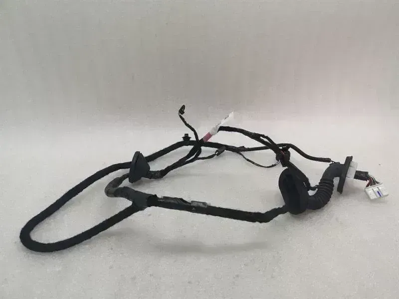 Tesla Model 3 Wiring Loom Tesla Model 3 Long Range RLH Door Wiring 206796...