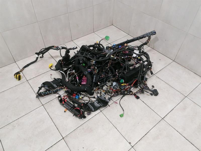 Audi e-tron GT (FW) Wiring Loom Audi E-tron GT Main Body Wiring 2022 RIGHT HAND...