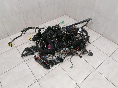 Audi E-tron GT Main Body Wiring 2022 HÖGER HANDTAG RHD