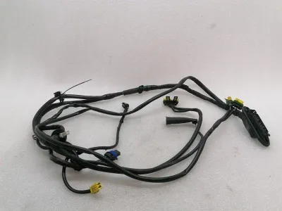 Faisceau de câbles de porte gauche Ferrari 360 F131 183327