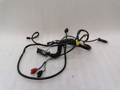 Ferrari F355 F129 Spider Wiring Loom 163786 Instalācija LEFT DOOR LEFT DOOR