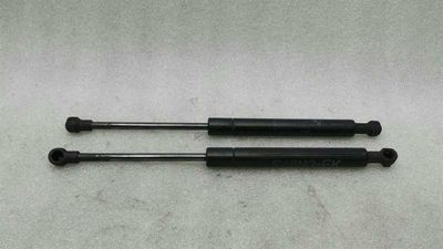 BMW 3 Series E46 Convertible M3 Boat Lid Strut 7893236 Gas Spring Tailgate Set