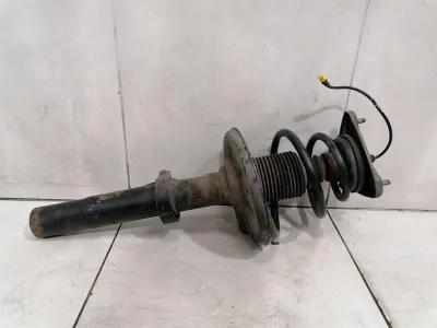 Porsche Cayman 987 Shock Absorber Front 98734304521 Shock Absorber Front RE ECS