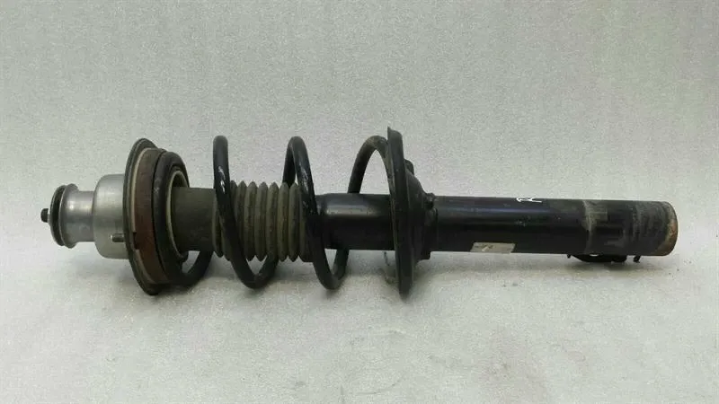 Porsche Boxster 987 shock absorber rear left 98733305116 shock absorber rear