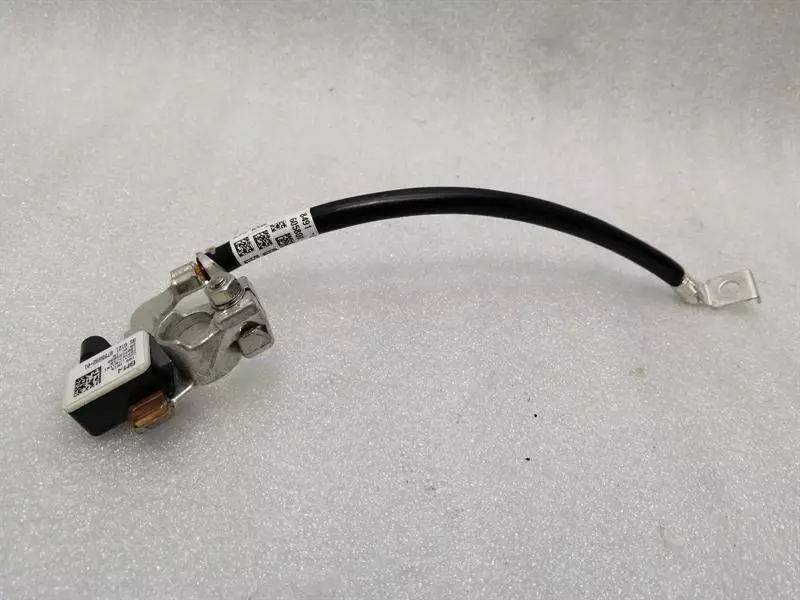 BMW X4 (G02) BMW X4 G02 Wiring Loom 8795892 wiring harness battery condition sensor negative clamp Body type: SUV
Fuel: Petrol