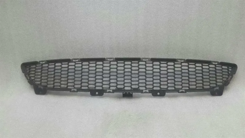 BMW Z4 E89 front bumper center grill 7294948 front bumper grill