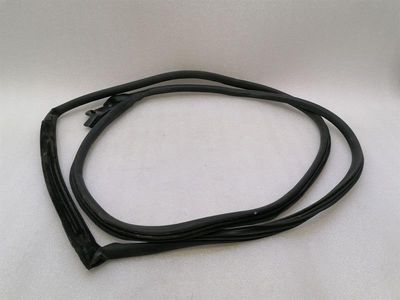 Aston Martin Vantage V8 Door Seal 6G33-C20709-AH LEFT LEFT Door Seals