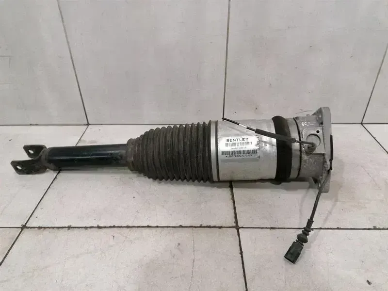 Bentley Continental GT, GTC, Flying Spur Shock Absorber Rear Bentley Continental GT Shock Absorber Rear 3W86...