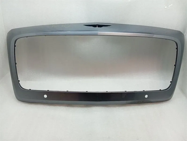 2019 Bentley Flying Spur Grille Frame Radiator Grill 3SE853653