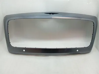 2019 Bentley Flying Spur Grille Frame Radiator Grill 3SE853653
