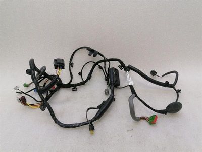 Aston Martin Vantage AM6 Wiring Loom KY63-14631-BB Окабеляване за ДЯСНА ВРАТА
