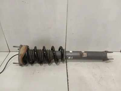 Porsche 911 991 Amortisseur arrière 99133305716 Amortisseur arrière PASM