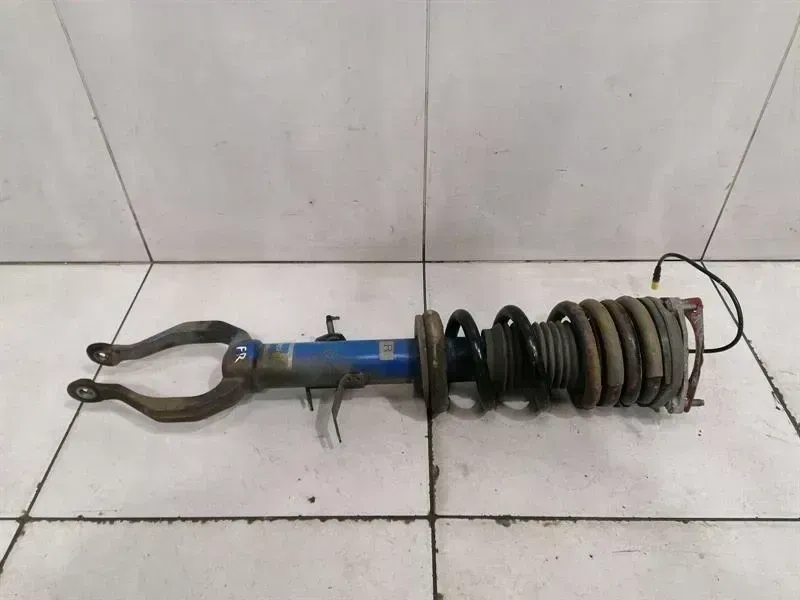 Nissan GT-R Nissan GT-R R35 Shock Absorber FRH E611038B0A Shock Absorber Front Right EDC Body type: Coupe
Fuel: Petrol