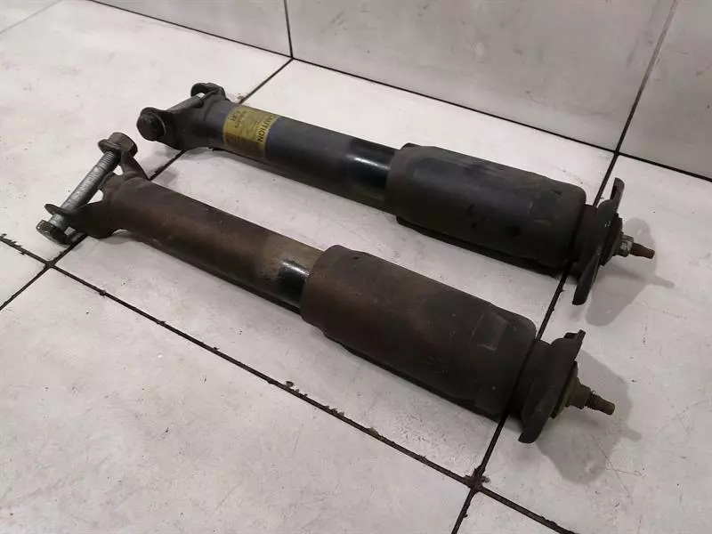 Chevrolet Corvette (C6) Chevrolet Corvette C6 shock absorber rear set 10302879 shock absorber rear set