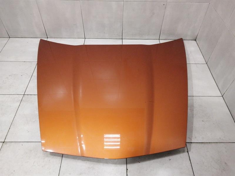 Chevrolet Corvette (C6) Chevrolet Corvette C6 Bonnet 25805421 Hood