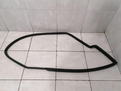 Aston Martin DB7 Vantage höger dörrtätning 77-84316 höger dörrtätning