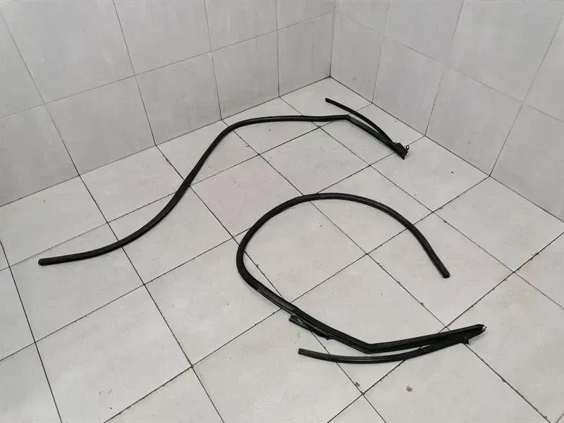 Audi R8 Audi R8 Type 42 V10 5.2 Spyder door seal set 427831707 door seals set
