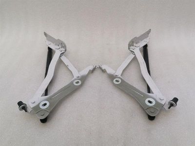 Ensemble de charnières de capot pour Ford Mustang MK6 S550 FR3B-6342701-AD