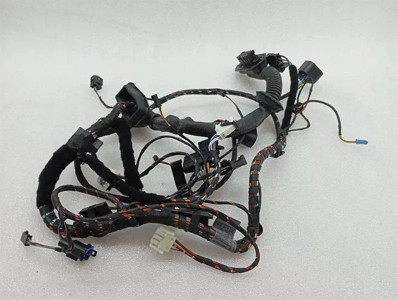 Rolls Royce Phantom MK7 VII 7 Wiring Loom 0022418 RR DOOR Wiring Harness