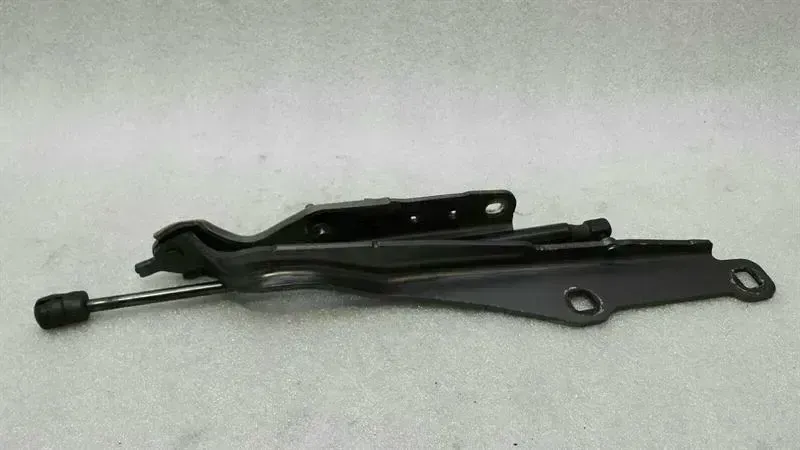 Dodge Charger 2010-... DODGE CHARGER LX LD Bonnet Hinge RHS 55113550AG Hood Hinge Right