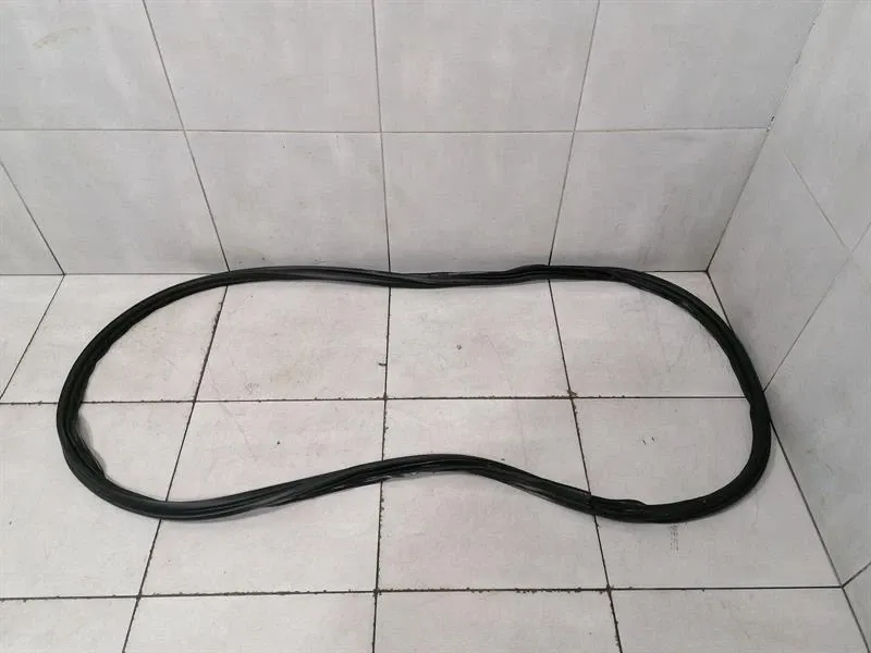 Ferrari Purosangue F175 Seal 882050 Gaskets Rear Lid Seal