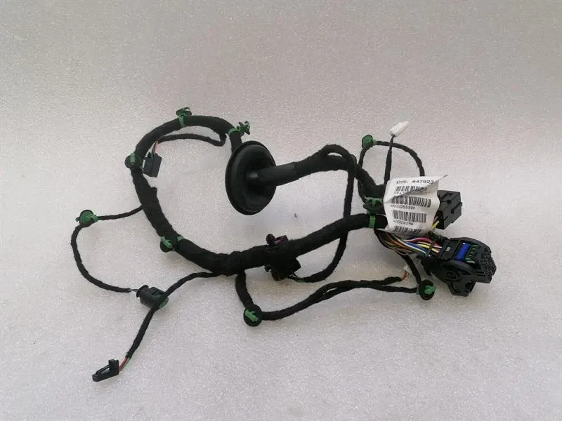 Ferrari Purosangue F175 Wiring Loom 847923 RR DOOR Wiring Harness