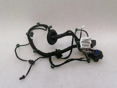 Ferrari Purosangue F175 Wiring Loom 847923 RR DOOR кабелен сноп