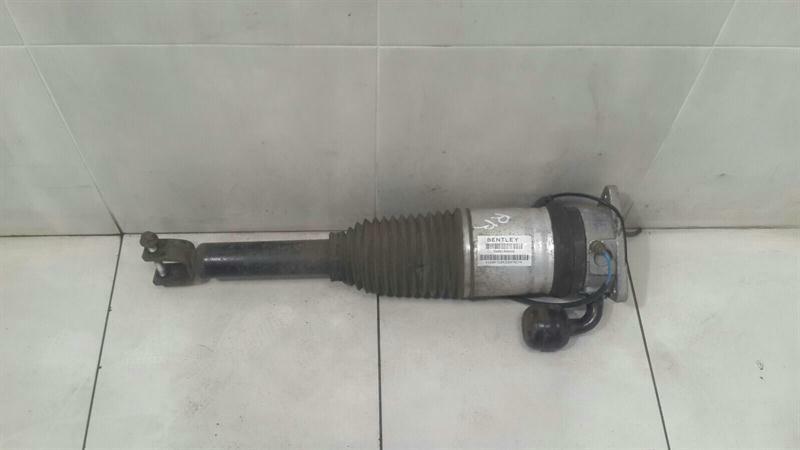 Bentley Continental GT, GTC, Flying Spur Shock Absorber Rear Bentley Continental GT W12 shock absorber rear ...