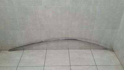 Bentley Continental GT Right Body Moulding 3W8853704F Strip Right